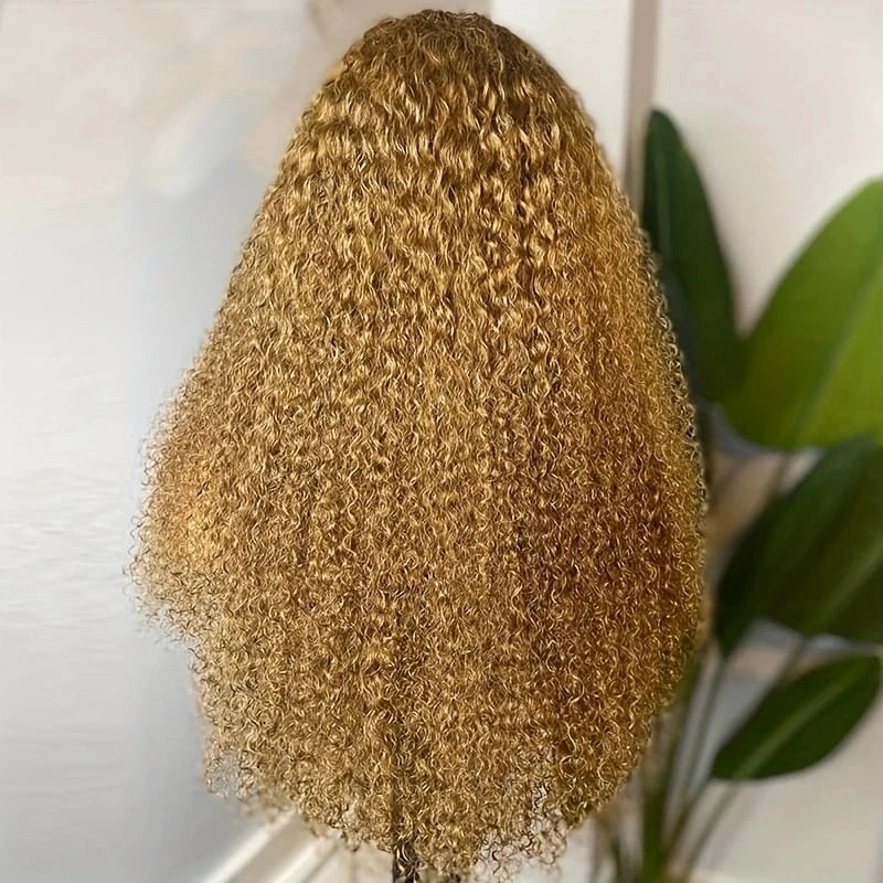 26Inch Long 180 Density Soft Honey Blonde Kinky Curly Lace Front Wigs For Women With Baby Hair Synthetic Fiber Deep Part Daily