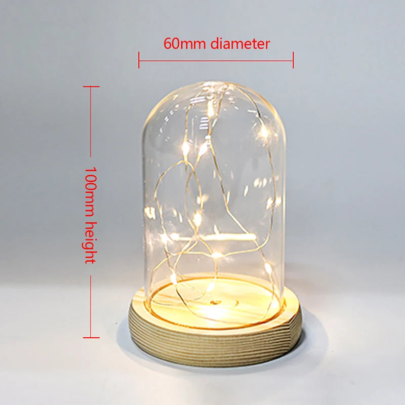 Glass Dome Wooden Base With LED Light Landscape Vase Dry Flower Cloche Cover DIY Succulent Plants Container Holder Bedroom Decor