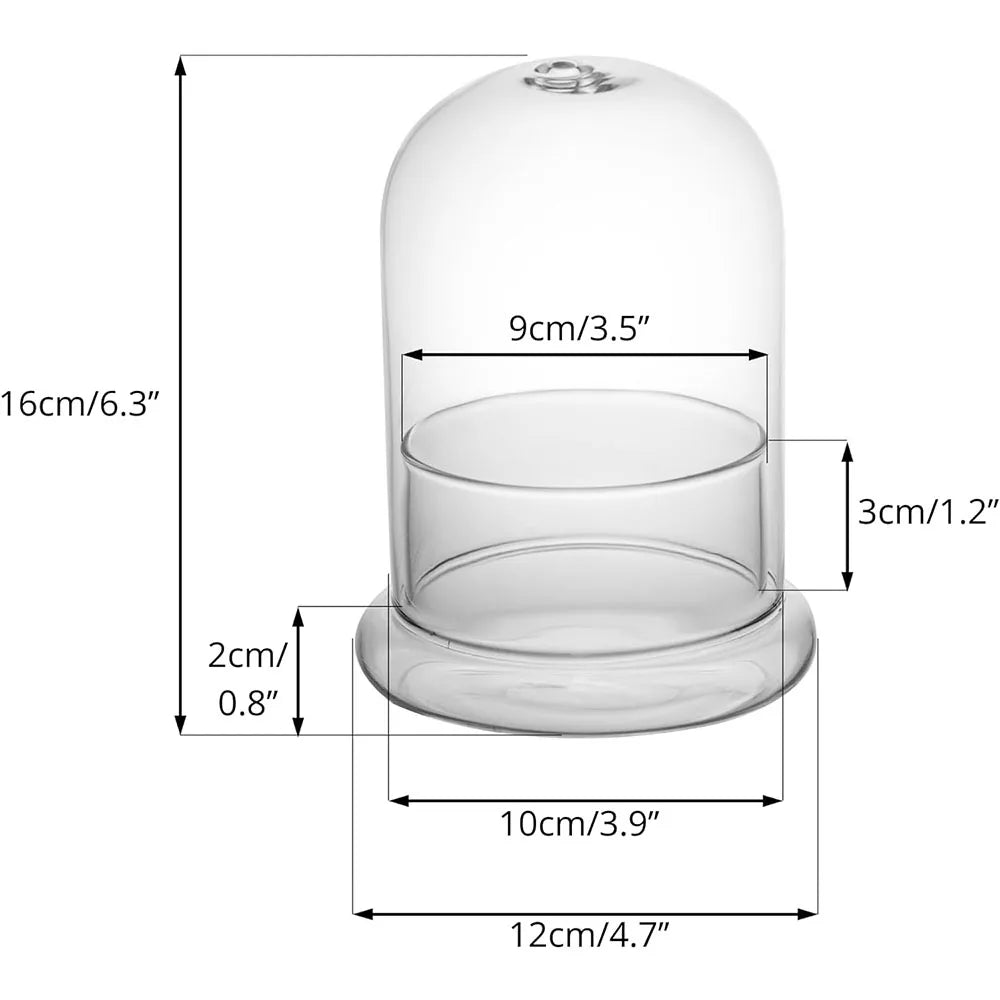 Glass Dome with Airhole Glass Cloche Bell Jar with Base Home Tabletop Display Clear Terrarium Container for Plant, Flower