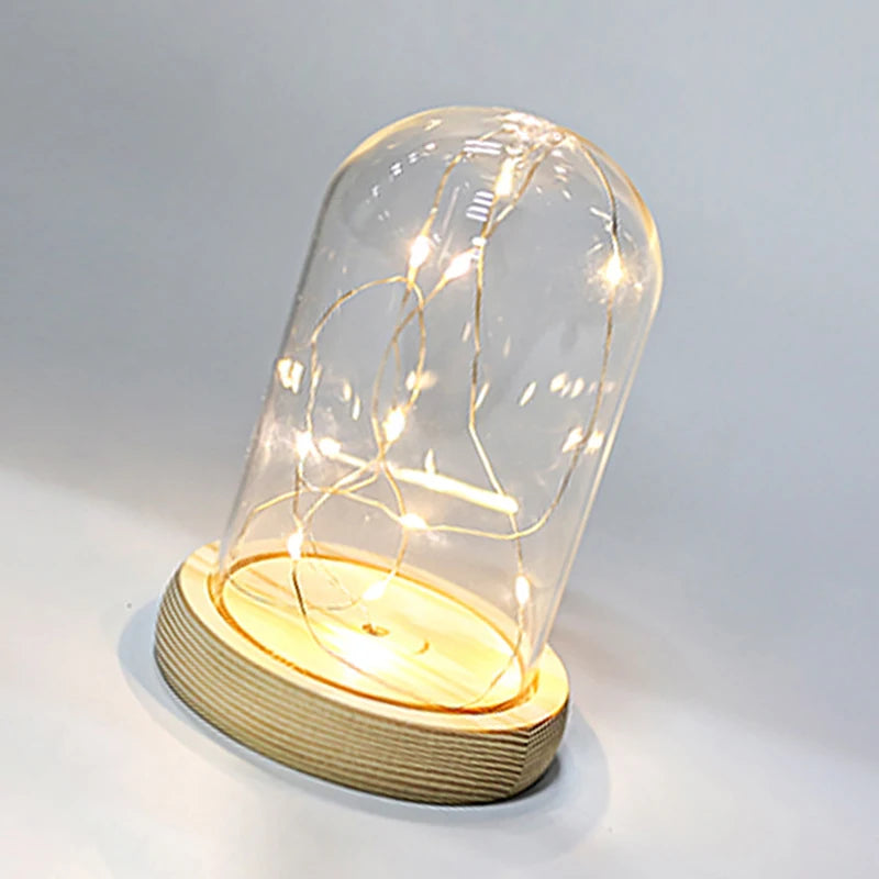 Glass Dome Wooden Base With LED Light Landscape Vase Dry Flower Cloche Cover DIY Succulent Plants Container Holder Bedroom Decor
