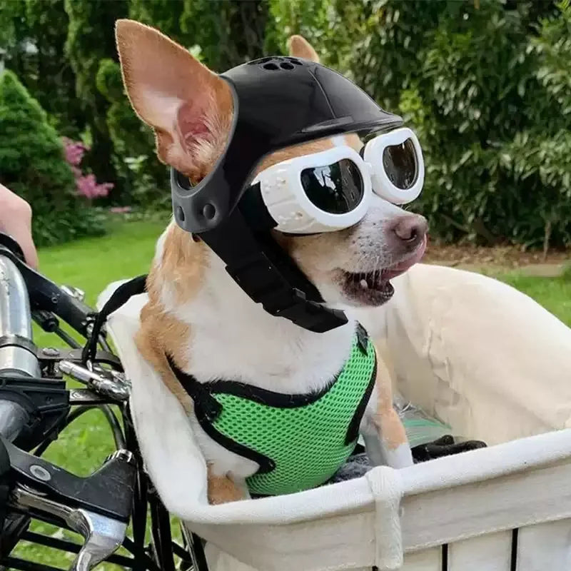 Pet Helmets,Cat Helmet,Dog Helmet-Outdoor Mini Head Protecting Safe Hat Dog Motorcycle Helmet Pet Photo Props Accessorie