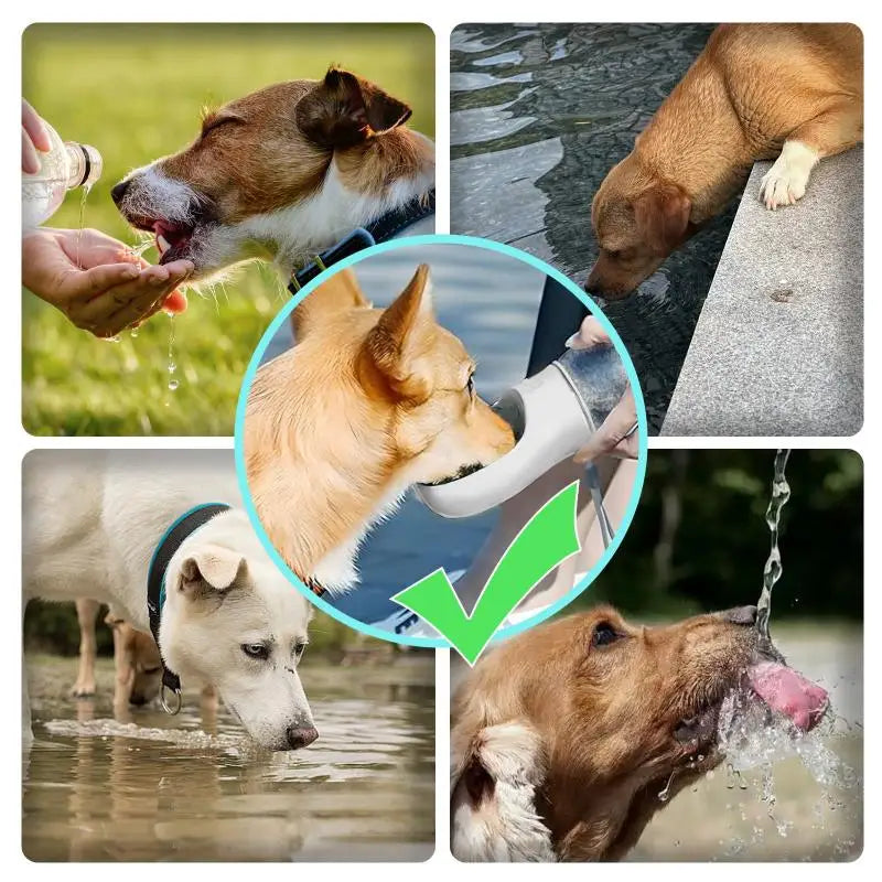 Dog Water Bottle Portable 300Ml Pet Water Dispenser for Small Big Dogs Cat Outdoor Walking Travel Leakproof Drinking Bowl Feeder