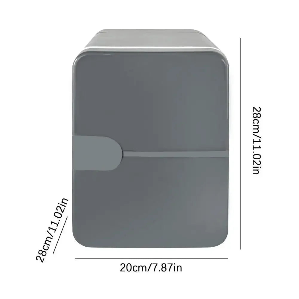 Mini 6L Car Fridge Beauty Cosmetics Mask Makeup Skincare Refrigerator DC 12V / AC 220V Heated Cooling Dormitory Refrigerator