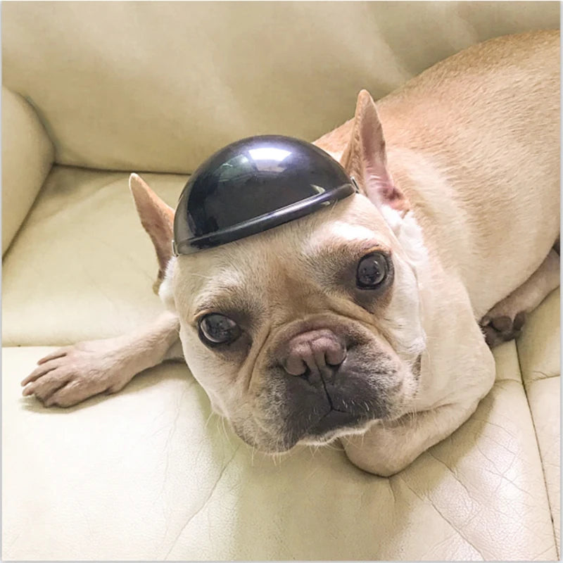 Pet Safety Suit Motorcycle Dog Helmet With Sunglasses Cool Fashion Cool Pet Dog Hat Helmet S/M Size Pet Protect Ridding Cap