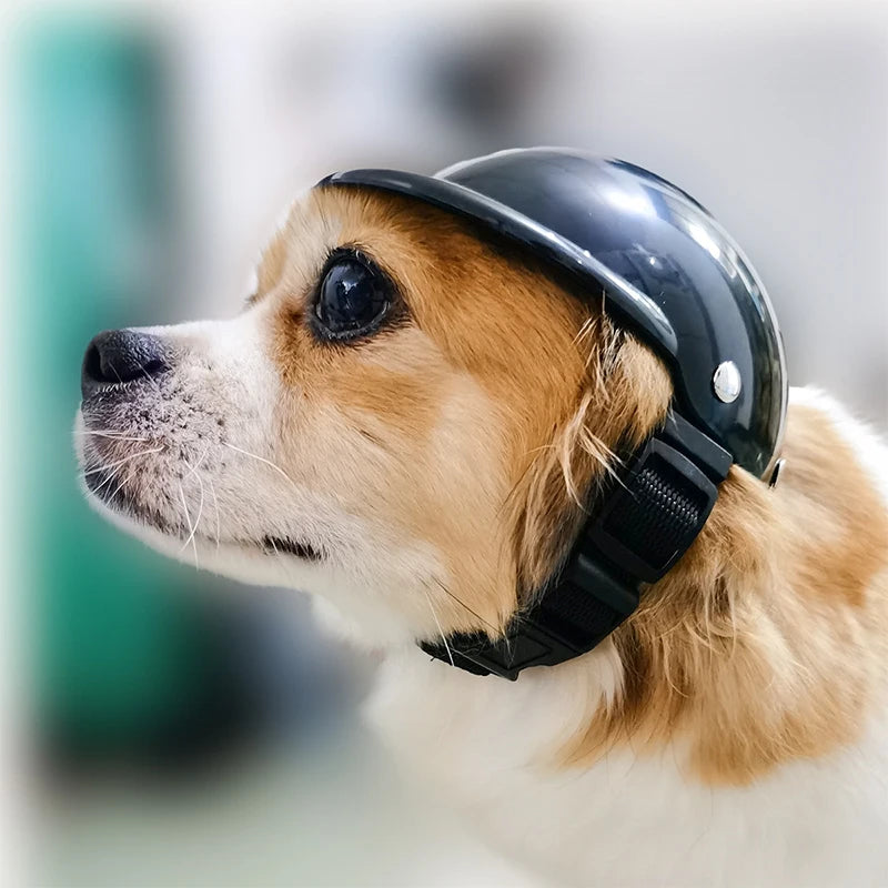 Pet Safety Suit Motorcycle Dog Helmet With Sunglasses Cool Fashion Cool Pet Dog Hat Helmet S/M Size Pet Protect Ridding Cap