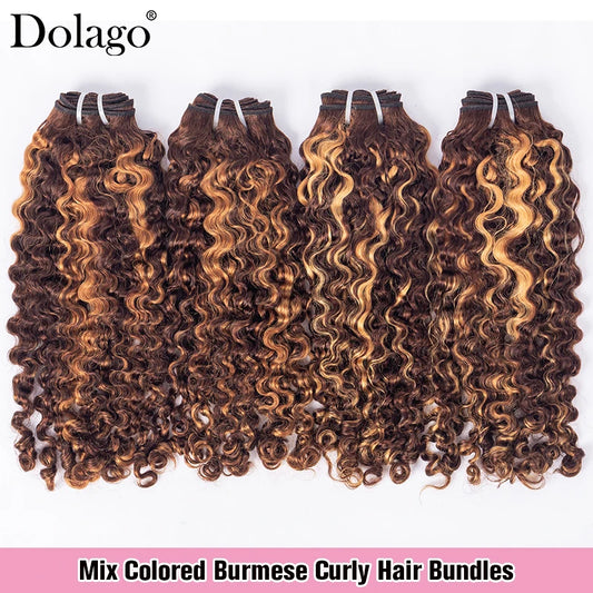 Highlight Bundles Human Hair Ombre Colored Burmese Curly Hair Bundles Chocolate Brown 30 27 Honey Blonde Bundles Human Hair